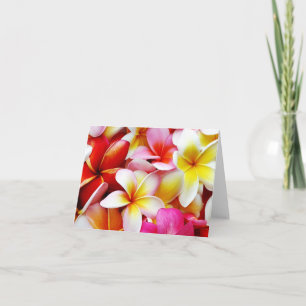 Plumeria Frangipani Hawaii Flower Hawaiian Flowers Card