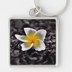 Plumeria Frangipani Hawaii Flower Key Ring
