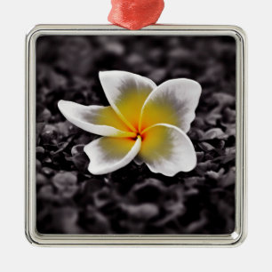 Plumeria Frangipani Hawaii Flower Metal Tree Decoration