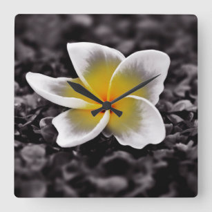 Plumeria Frangipani Hawaii Flower Square Wall Clock