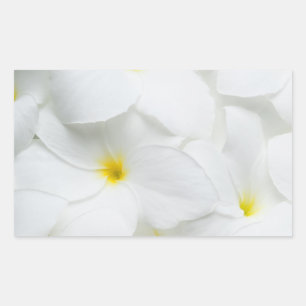 Plumeria Lei Flowers Personalised Hawaiian Flower Rectangular Sticker