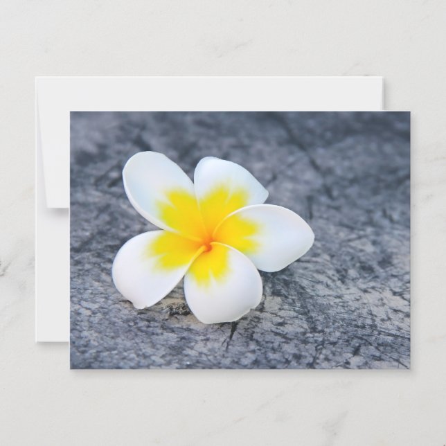 plumeria magnetic invitation (Front)