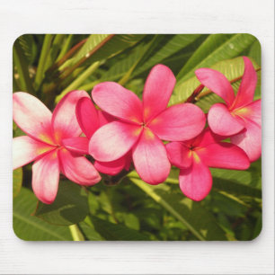 plumeria mouse pad