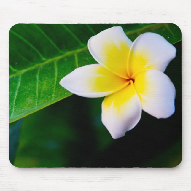 plumeria mouse pad (Front)