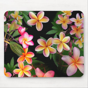 Plumeria Mouse Pad