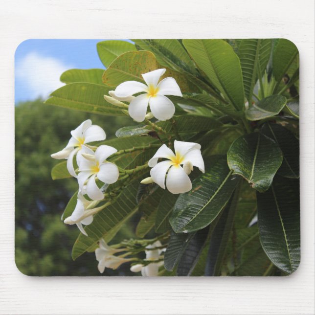 Plumeria Mousepad (Front)