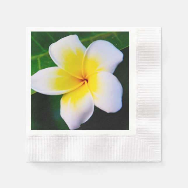 plumeria napkin (Front)