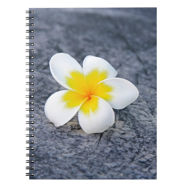 Plumeria Notebook (Front)