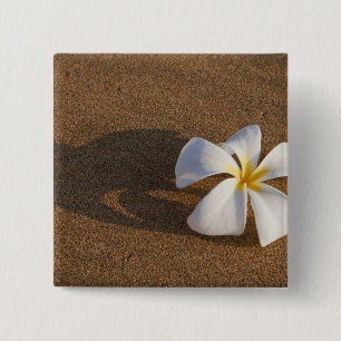 Plumeria on sandy beach, Maui, Hawaii, USA 15 Cm Square Badge