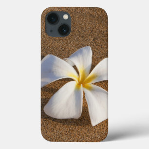 Plumeria on sandy beach, Maui, Hawaii, USA iPhone 13 Case