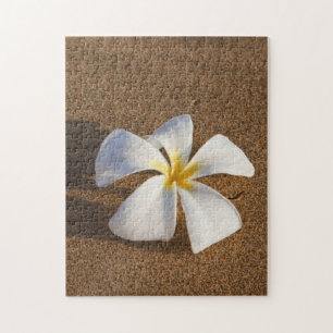 Plumeria on sandy beach, Maui, Hawaii, USA Jigsaw Puzzle
