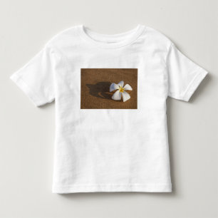Plumeria on sandy beach, Maui, Hawaii, USA Toddler T-Shirt