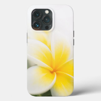 plumeria OtterBox iPhone case