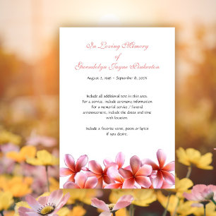 Plumeria Pink Floral Memorial Funeral Service Card