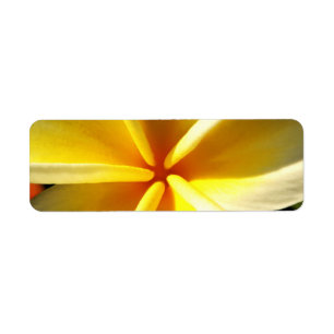 plumeria return address label