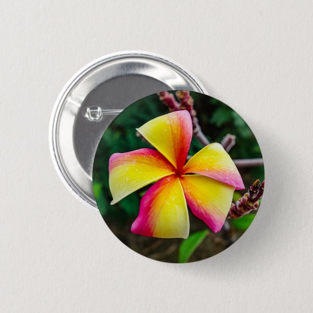 Plumeria rubra 6 cm round badge (Front & Back)