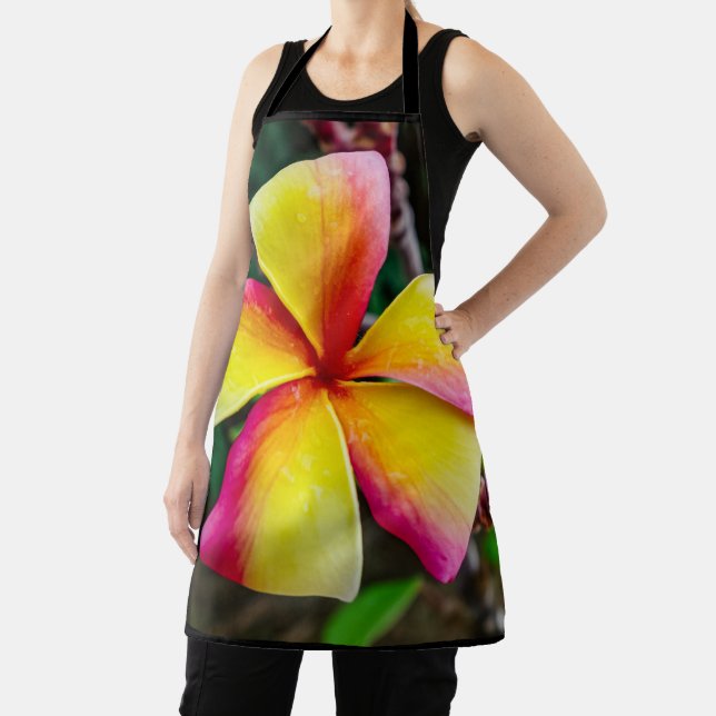 Plumeria rubra apron (Insitu)