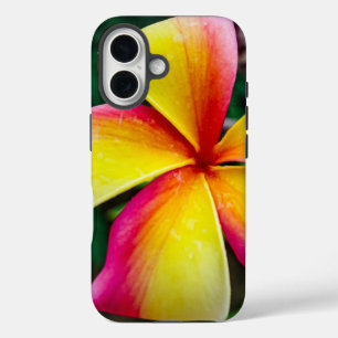 Plumeria rubra iPhone 16 case