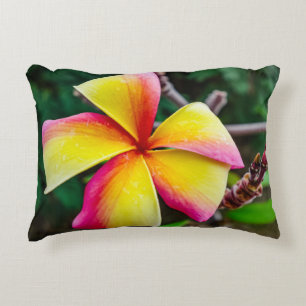 Plumeria rubra decorative cushion