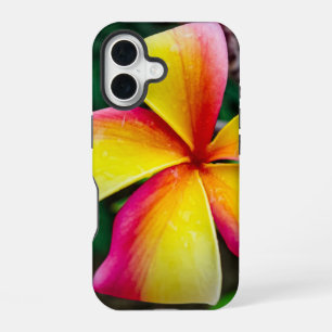 Plumeria rubra iPhone 16 case