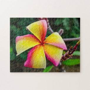 Plumeria rubra jigsaw puzzle