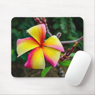 Plumeria rubra mouse pad