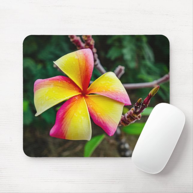 Plumeria rubra mouse pad (With Mouse)