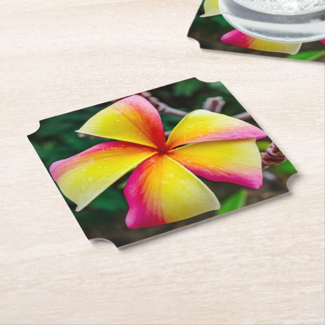 Plumeria rubra paper coaster (Angled)