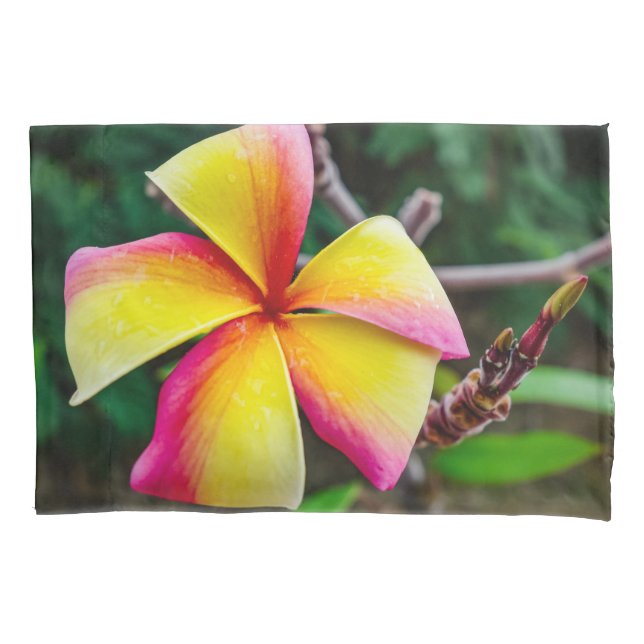 Plumeria rubra pillowcase (Front)