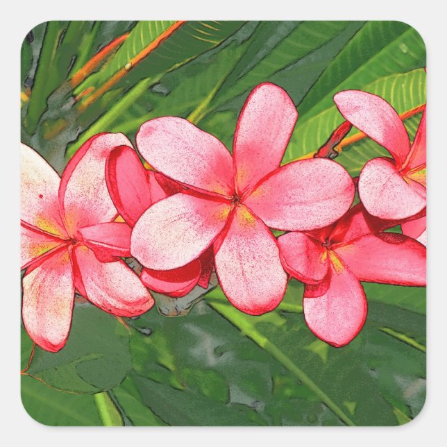 plumeria square sticker (Front)