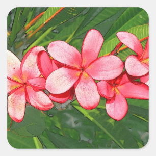plumeria square sticker