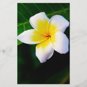 plumeria stationery