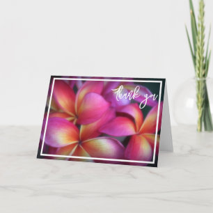 Plumeria Thank You Note Card