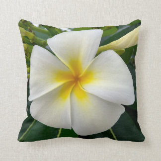 Plumeria Throw Pillow