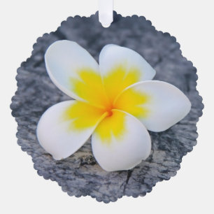 plumeria tree decoration card