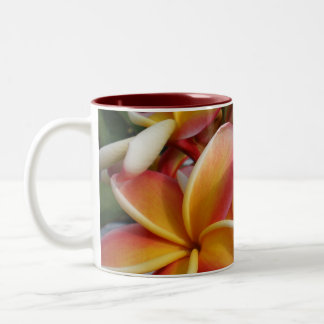 plumeria Two-Tone coffee mug