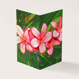 Plumerias