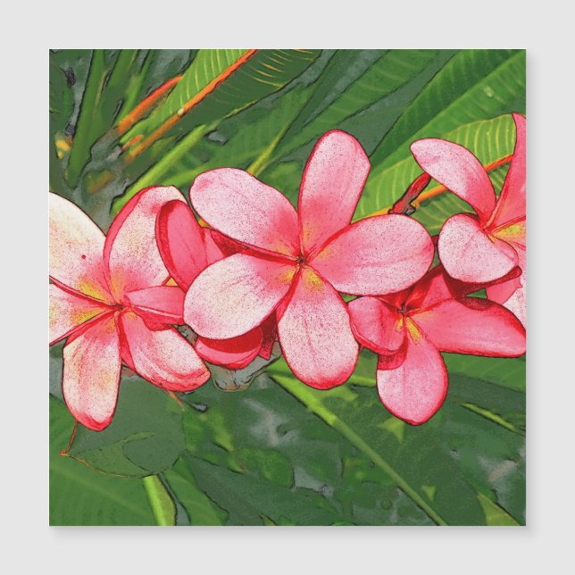 Plumerias (Front)