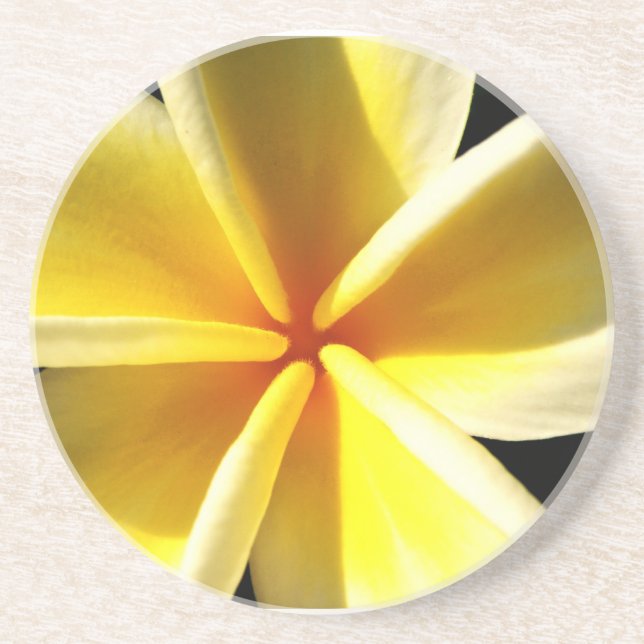 Plumerias Coaster (Front)