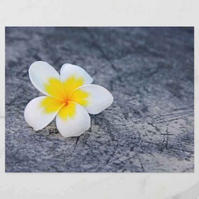 Plumerias Flyer (Front)