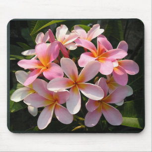 Plumerias in Bloom Mouse Pad