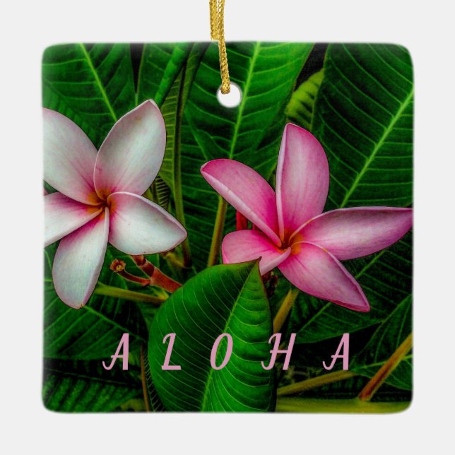 Plumerias in White and Pink Ornament (Front)