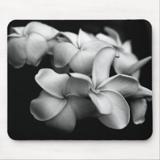 Plumerias Mouse Pad