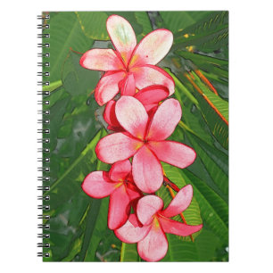 Plumerias Notebook