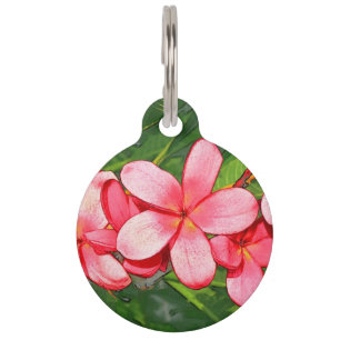 Plumerias Pet Tag