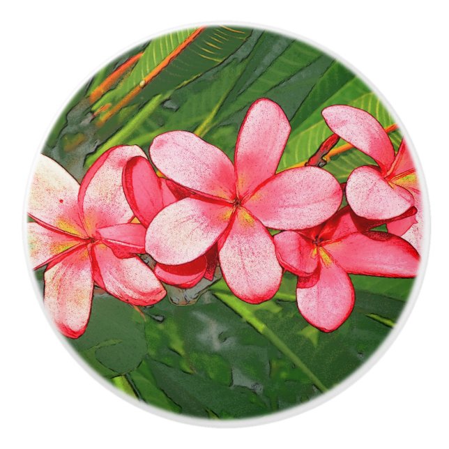 Plumerias pink  ceramic knob (Front)
