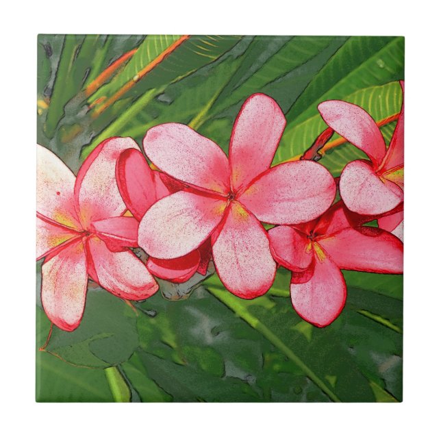 Plumerias pink   ceramic tile (Front)
