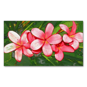 Plumerias pink   	Magnetic business card
