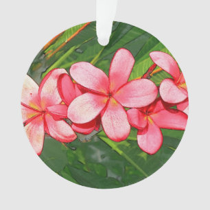 Plumerias pink   ornament