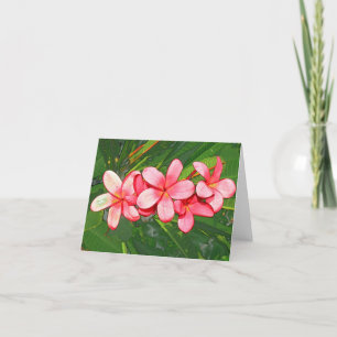 Plumerias pink thank you card